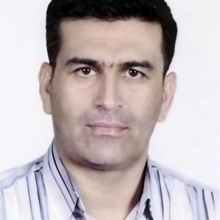 masoud-hatef